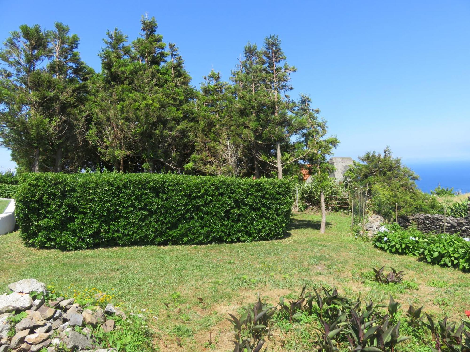 Villa Cedros Санта Круз да Флорес Екстериор снимка